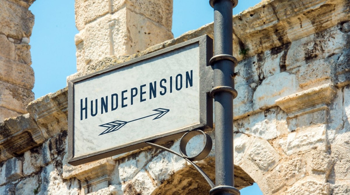 Passende Hundepension erkennen - AniForte