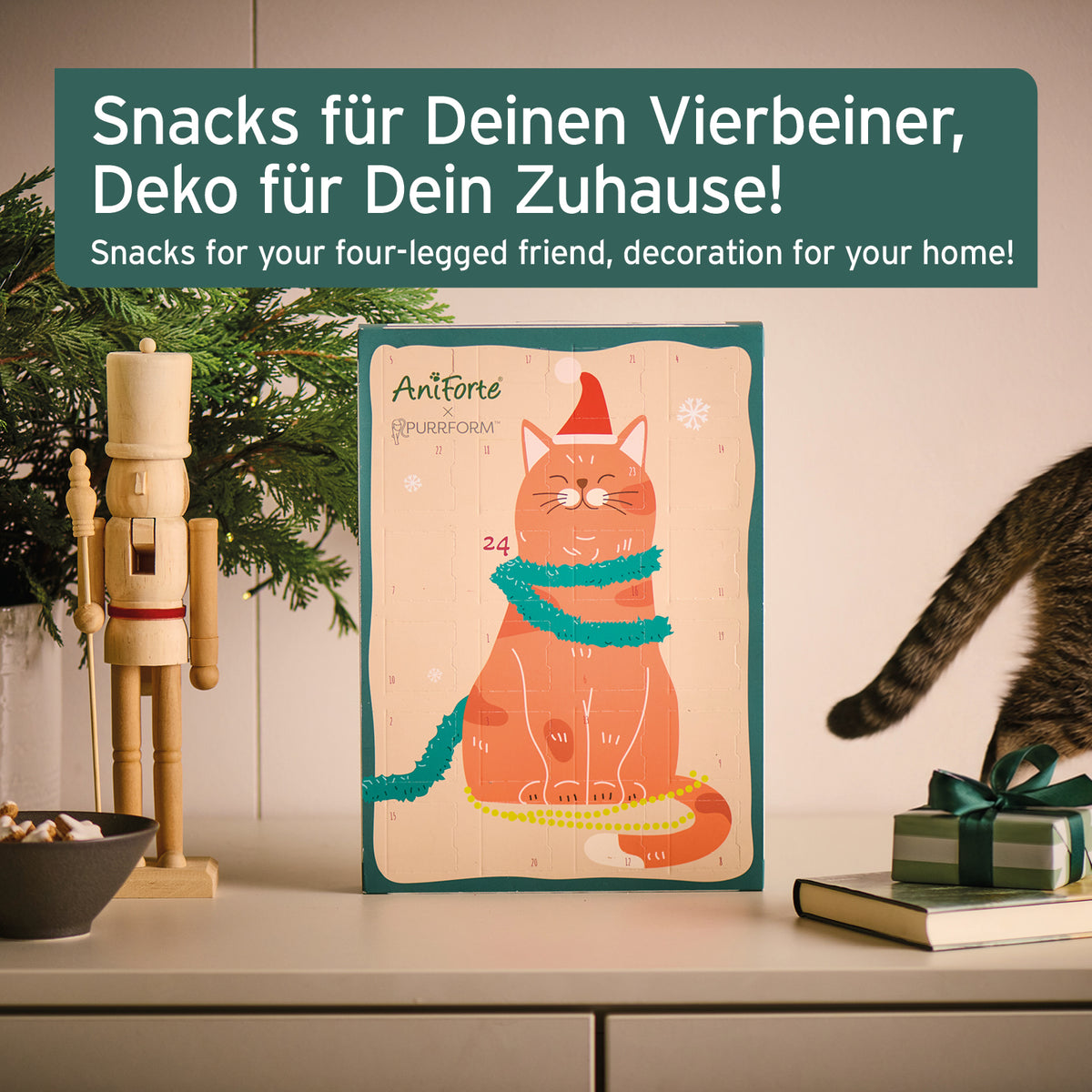 Advent calendar 2023 for cats