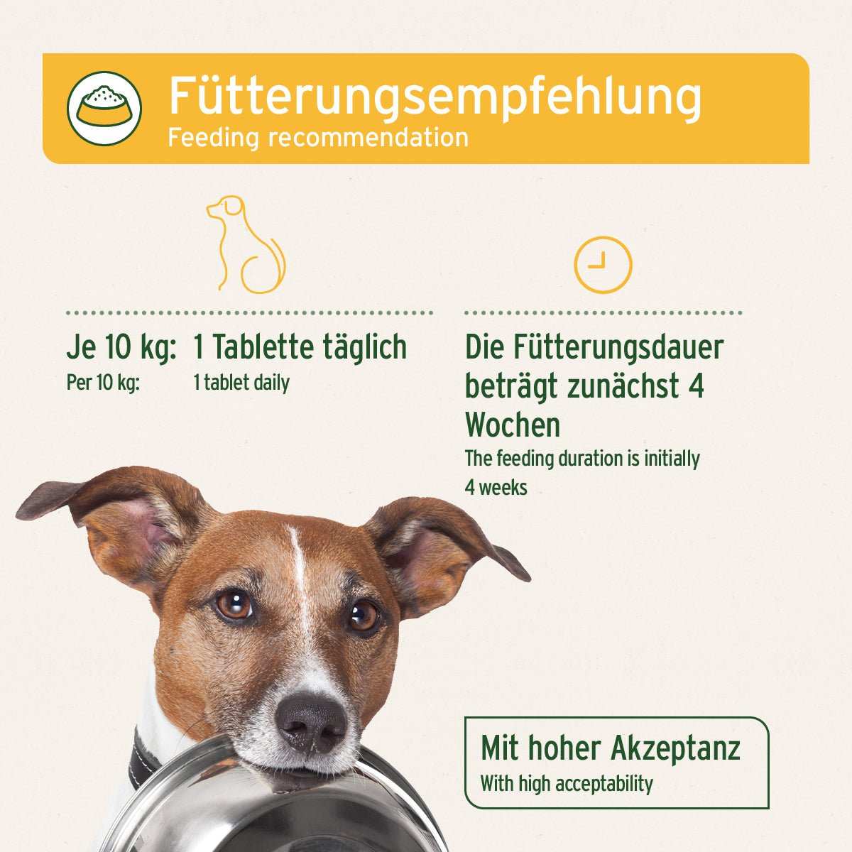 Hund mit Fressnapf, Fütterungsempfehlung für AniForte® plus Probiotikum, 1 Tablette täglich pro 10 kg, 4 Wochen Dauer, hohe Akzeptanz.