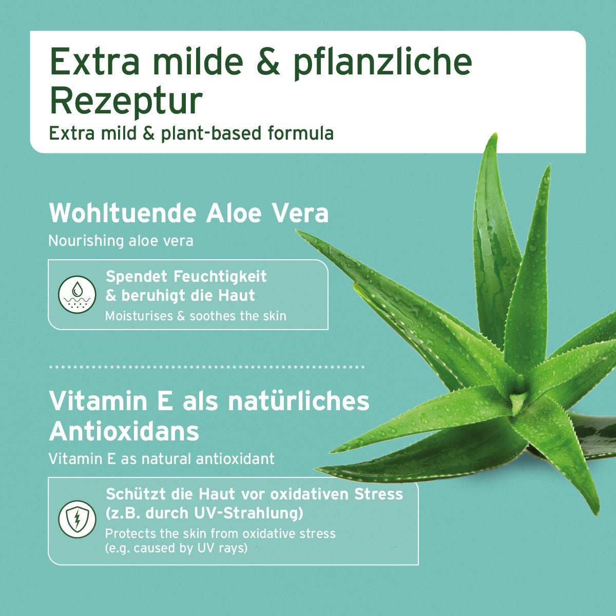 Augen-Reinigungspads für Hunde und Katzen mit Aloe Vera, pflanzliche Formel, sanfte Pflege und Reinigung, geeignet für tägliche Anwendung.