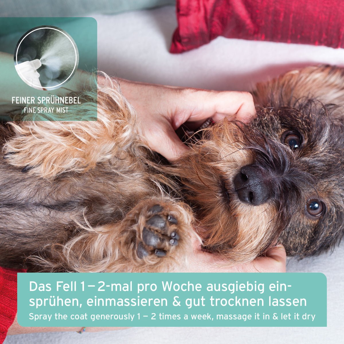 Hund entspannt sich beim Einmassieren des Fellgeruch STOP Sprays mit feinem Sprühnebel auf dem Fell