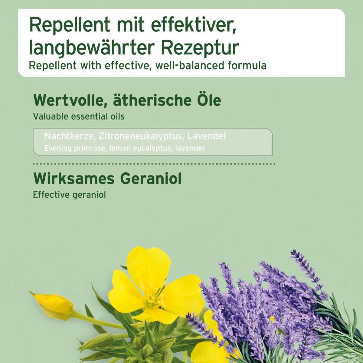 Informationen zum Grasmilben mit verschiedenen Kräutern.