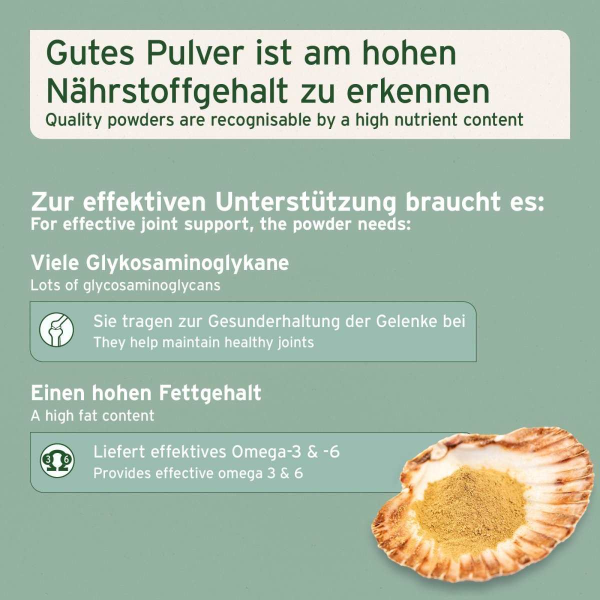 Grünlippmuschel Pulver in Muschel.
