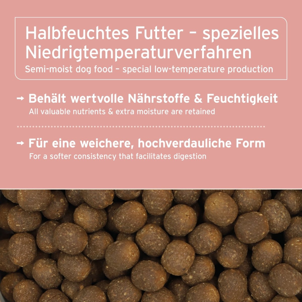 Halbfeuchtes Trockenfutter FjordSalmon mit frischem Lachs und schonender Verarbeitung für bessere Verdauung
