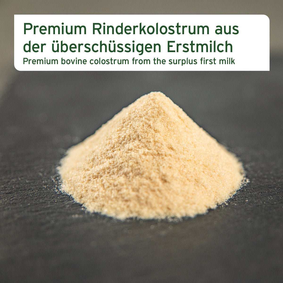 Premium Colostrum Pulver für Hunde und Katzen auf dunkler Oberfläche mit Textfeld.