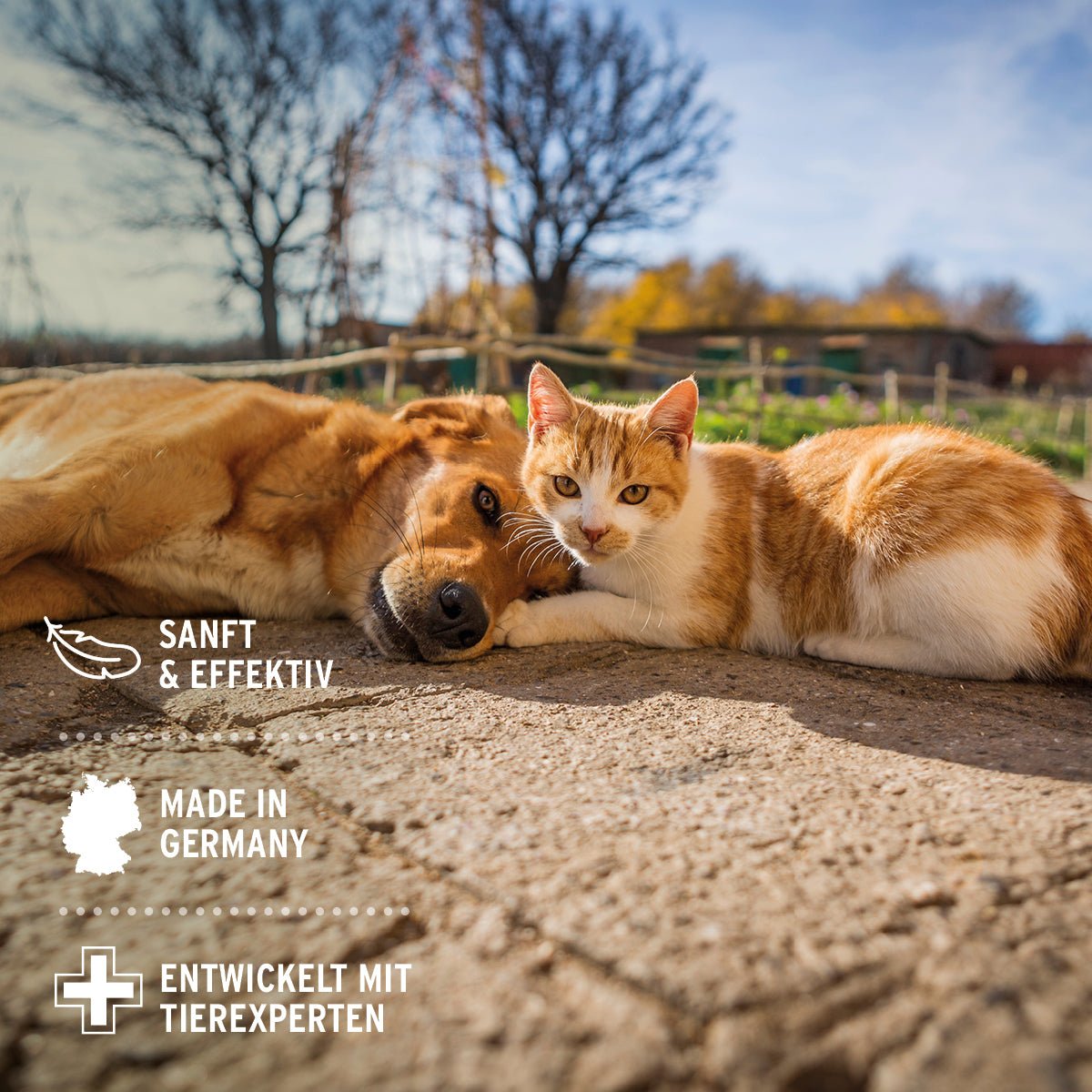 Beruhigendes Umgebungsspray für Hunde und Katzen mit Lavendel, Vanille und Kamille zur Stressreduktion