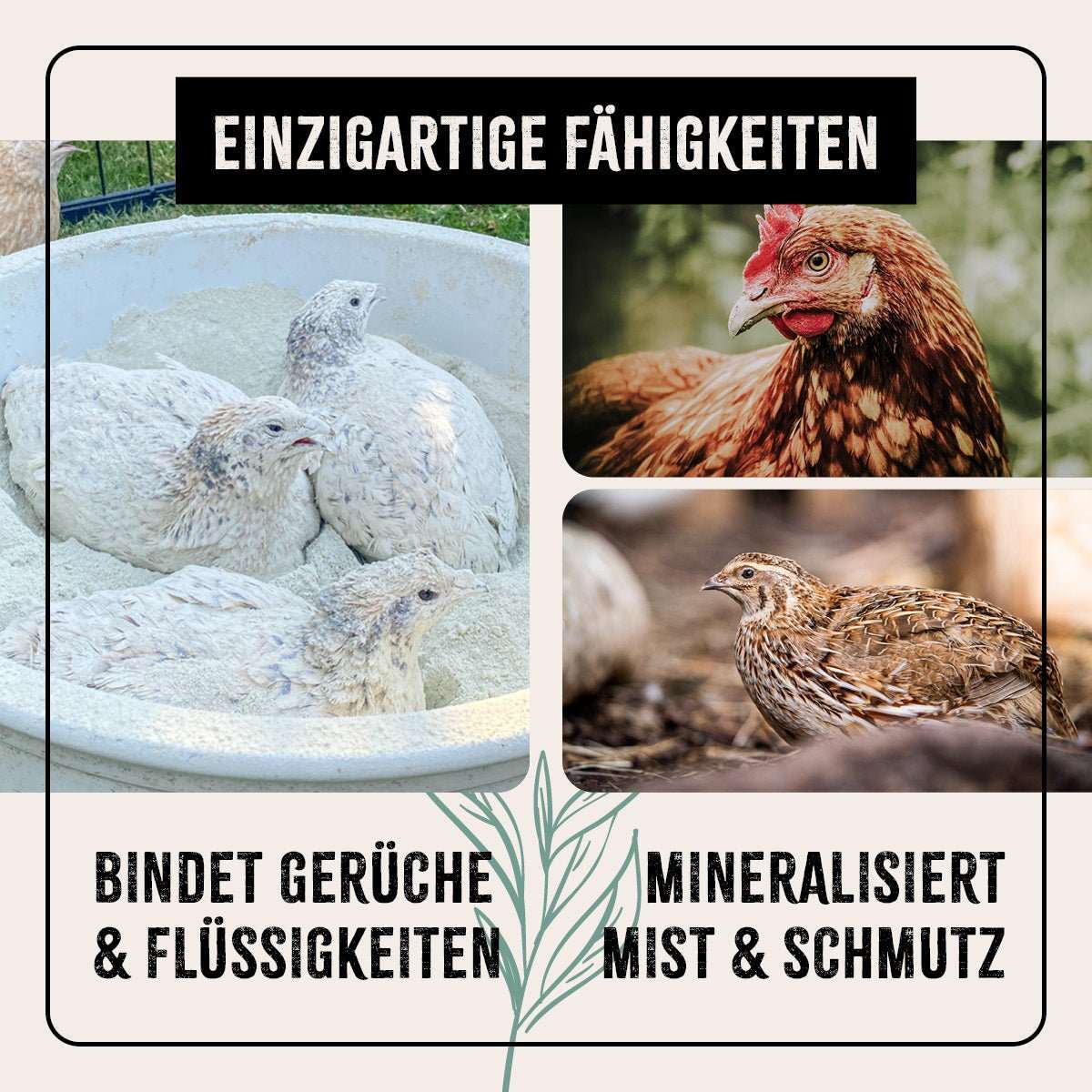 AniForte® FarmLife Staubbad für Hühner mit Zeolith, bindet Gerüche und absorbiert Feuchtigkeit, ideal gegen Parasiten.