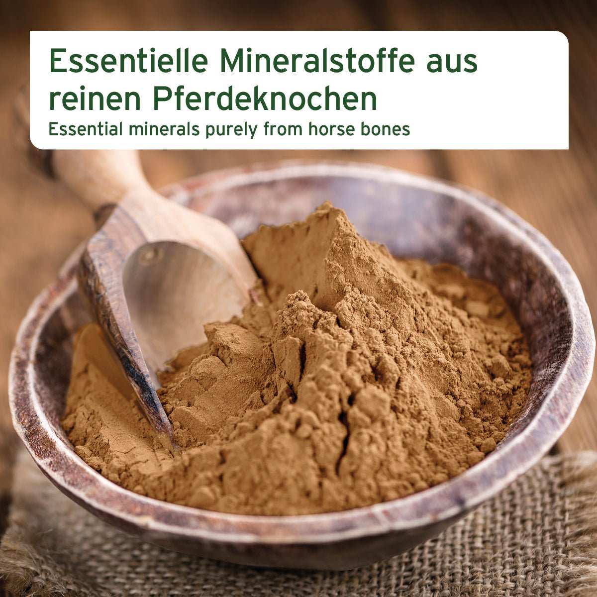 Gemahlene Pferdeknochen in Holzschale als natürliche Calciumquelle für Hunde und Katzen.
