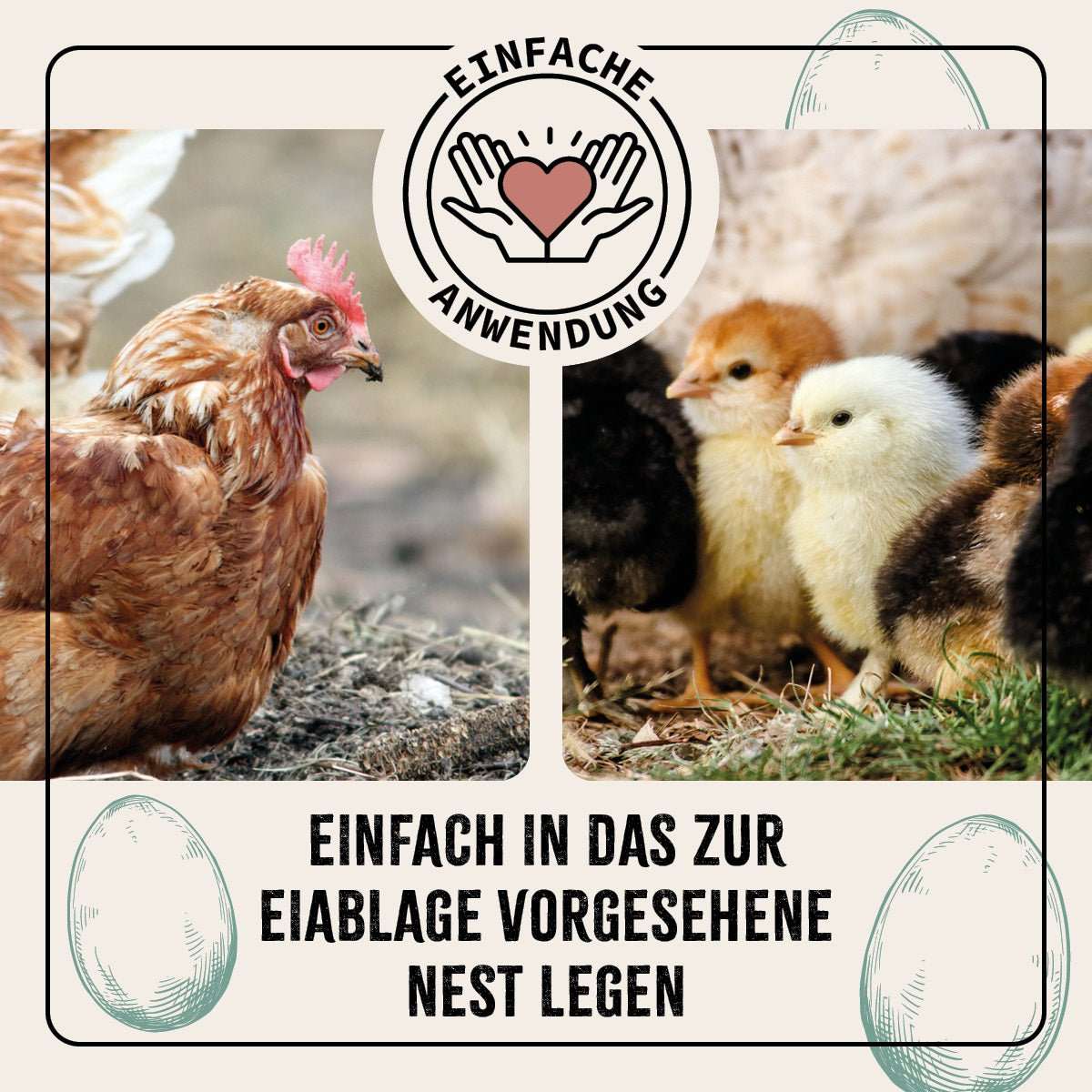 FarmLife Ton-Eier 6er Pack, Bruthilfe für Hühner, gegen Eierpicken.