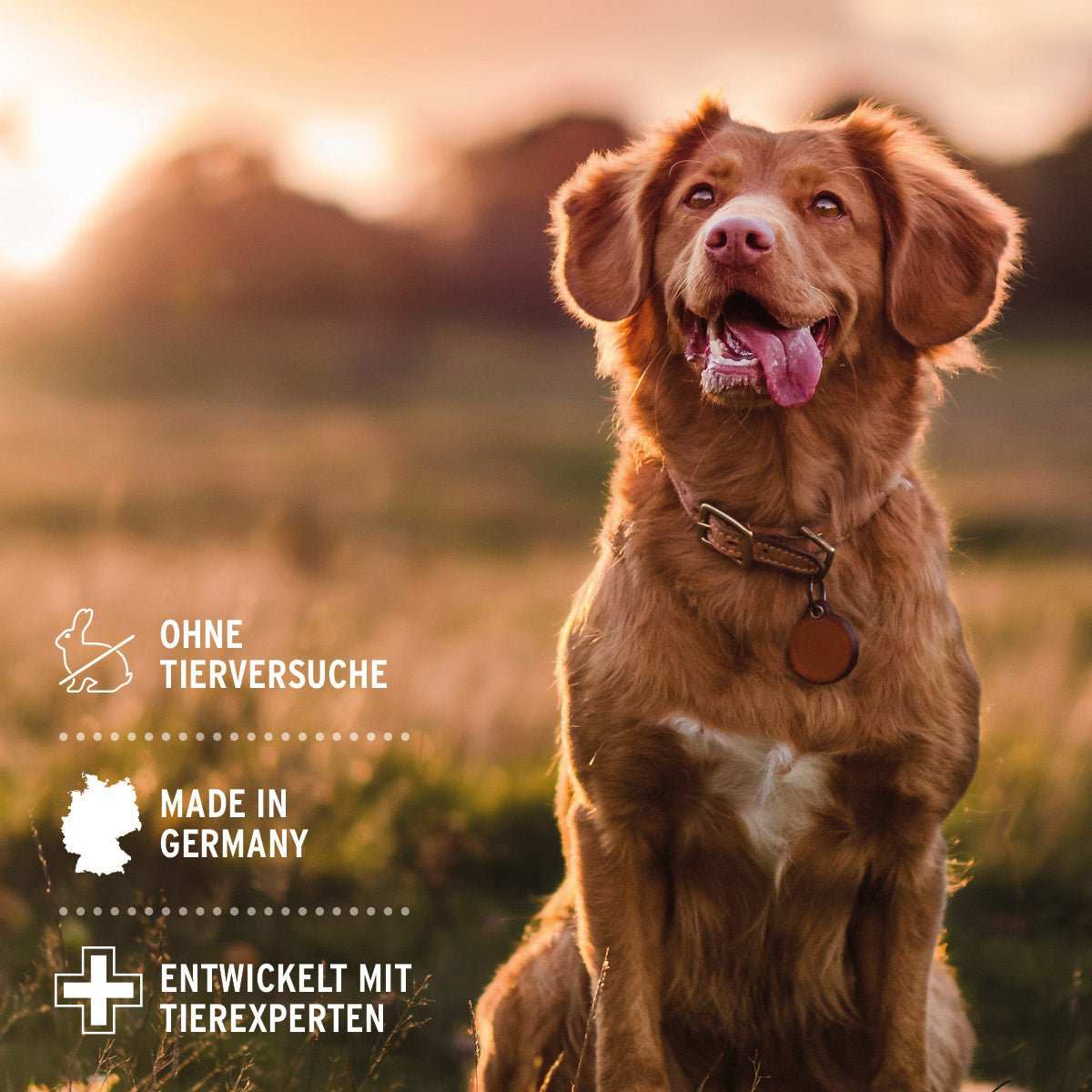 Hund in natürlicher Umgebung mit Text „Ohne Tierversuche“, „Made in Germany“, „Entwickelt mit Tierexperten“.