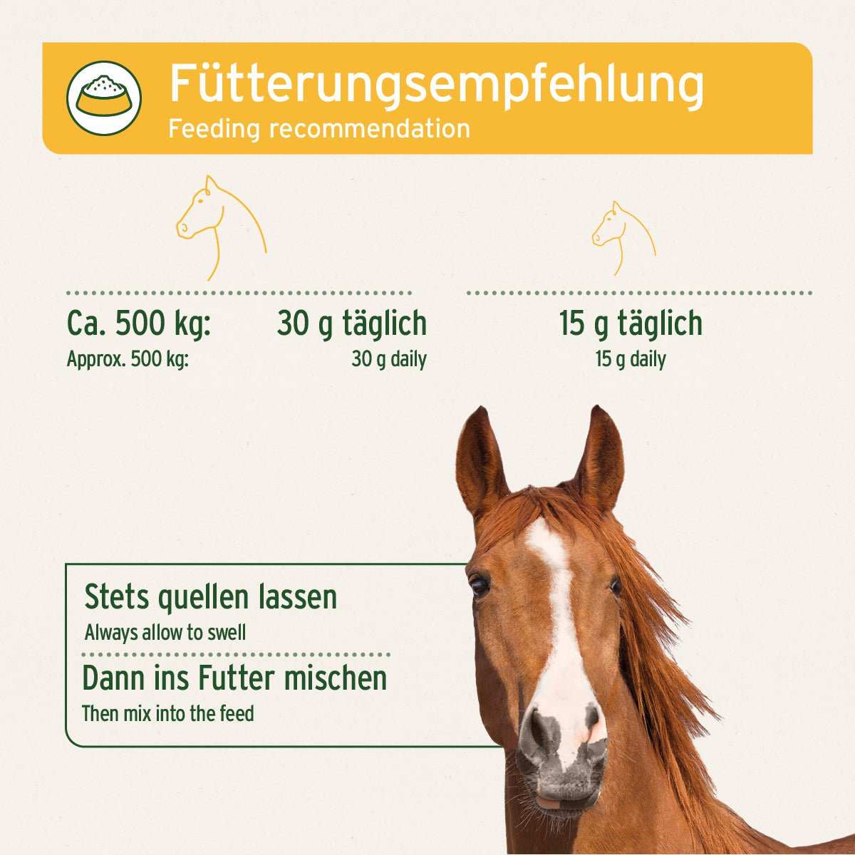 Fütterungsempfehlung für Flohsamenschalen für Pferde, mit Abbildung eines Pferdes und Dosierungshinweisen.