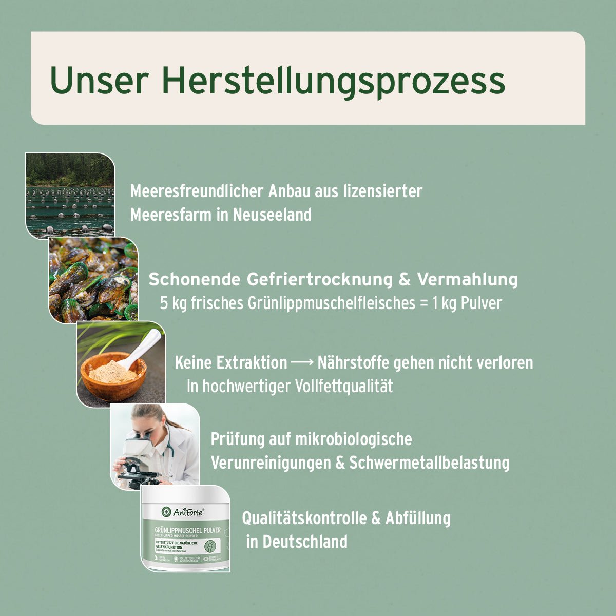 Grünlippmuschelpulver aus Neuseeland, natürliches Gelenkpulver für Hunde und Katzen, hohe Vollfettqualität, unterstützt Gelenkfunktion und Beweglichkeit