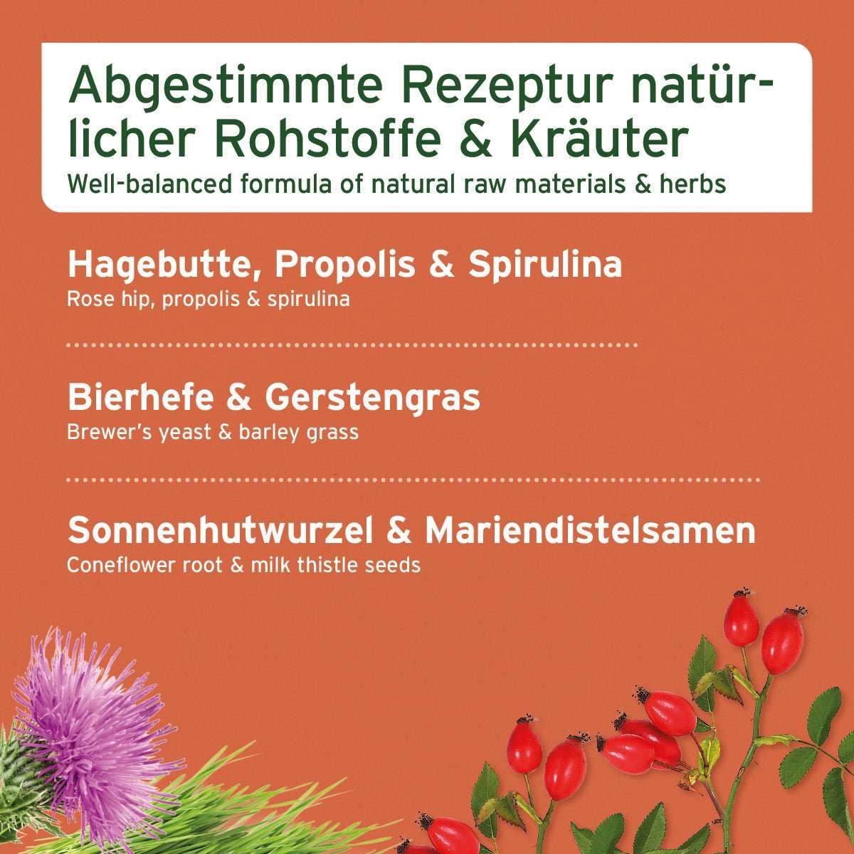 Kräutermischung Immun-Aktiv für Hunde und Katzen mit Hagebutten, Gerstengras, Spirulina und Propolis.