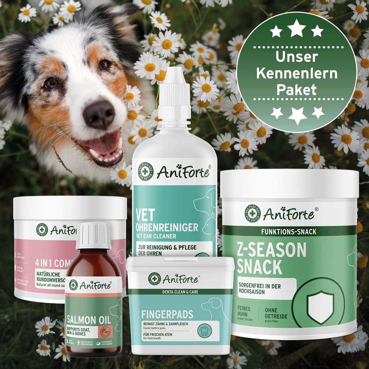 AniForte Kennenlernpaket für Hunde mit Lachsöl, Ohrenreiniger, Zahnpflege-Fingerpads, Z-Season Snack, und 4 in 1 Complete Dog vor Blumenhintergrund.