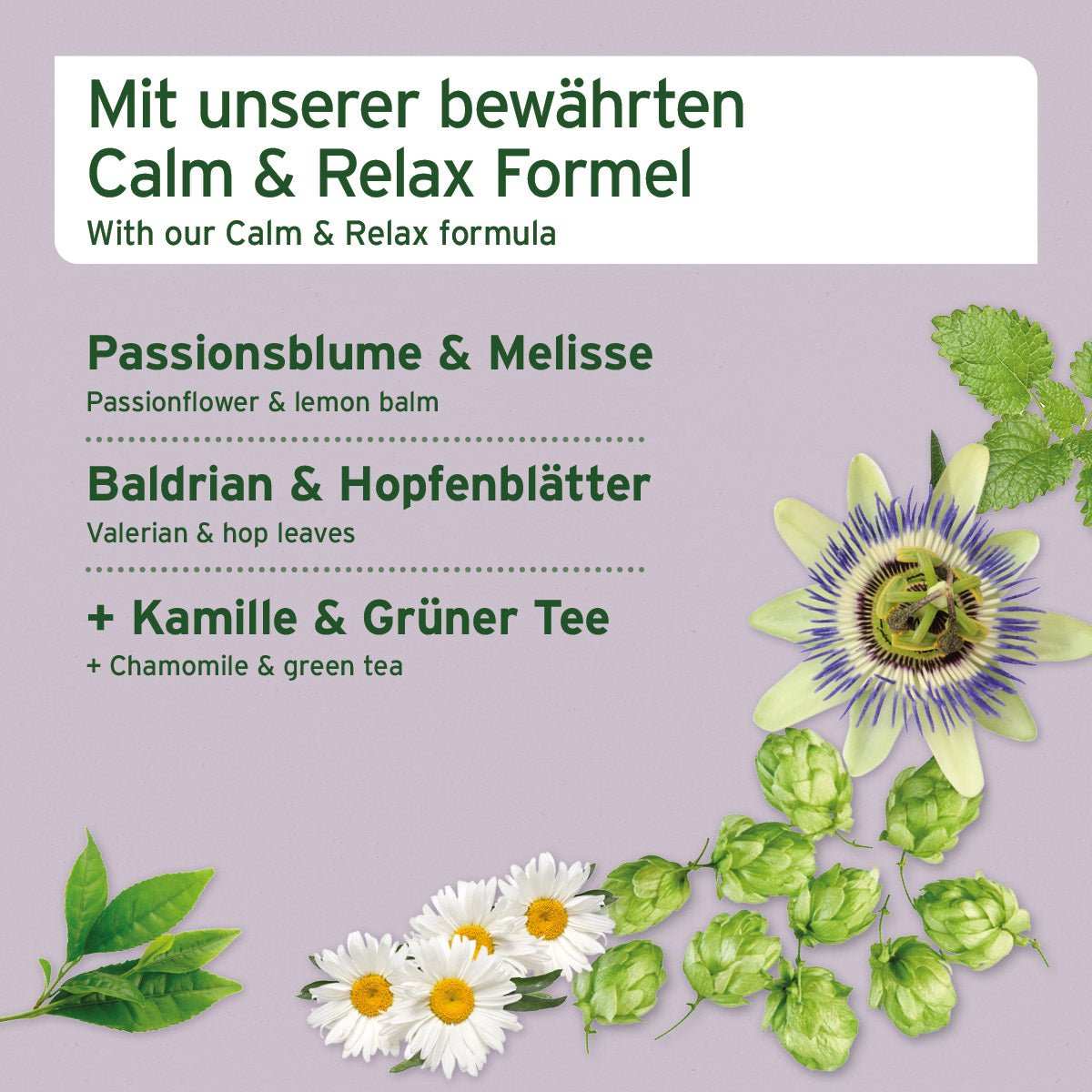 Bilder von Baldrian, Melisse, Passionsblume, Kamille und grünem Tee. 